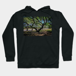 Shape of South Carolina in a Tree Hoodie